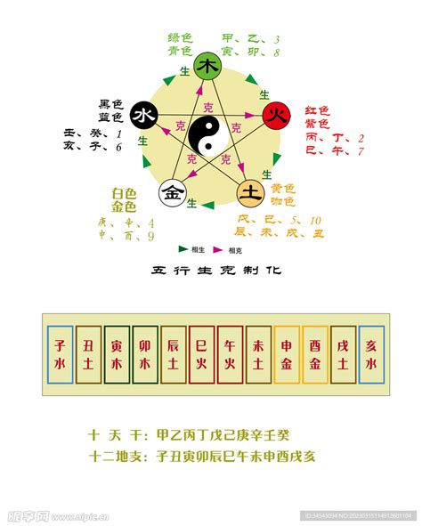 地支的五行|天干地支五行对照表图 阴阳五行